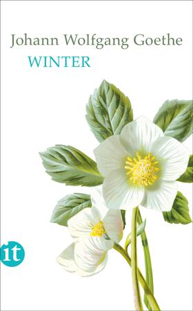 Goethe / Mayer |  Winter | Buch |  Sack Fachmedien