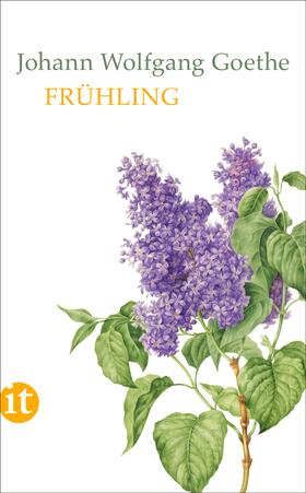 Goethe / Barth / Mayer | Frühling | Buch | 978-3-458-36333-0 | sack.de