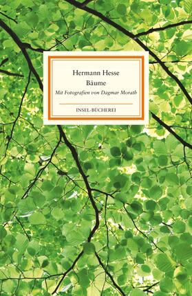 Hesse / Michels |  Bäume | Buch |  Sack Fachmedien