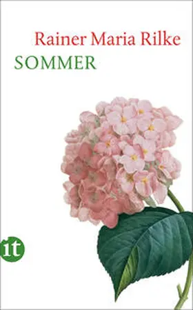 Rilke / Pape |  Sommer | eBook | Sack Fachmedien