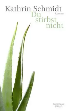 Schmidt | Du stirbst nicht | Buch | 978-3-462-04098-2 | sack.de