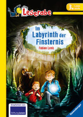 Lenk |  Im Labyrinth der Finsternis | Buch |  Sack Fachmedien