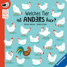 Grimm |  Welches Tier ist anders hier? - Unterschiede finden mit lustigen Tieren für Kinder ab 18 Monaten | Buch |  Sack Fachmedien