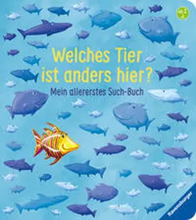 Penners |  Welches Tier ist anders hier? | Buch |  Sack Fachmedien