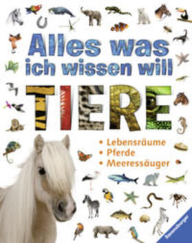 Englert / Gorgas / Noa |  Alles was ich wissen will: Tiere | Buch |  Sack Fachmedien