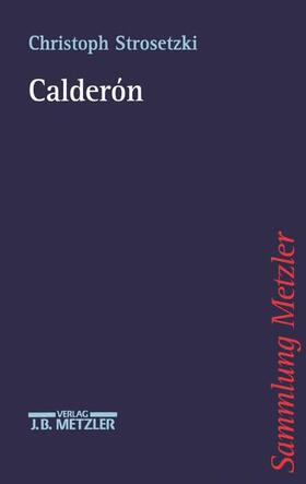 Strosetzki |  Calderon | Buch |  Sack Fachmedien
