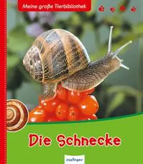 Starosta |  Die Schnecke | Buch |  Sack Fachmedien