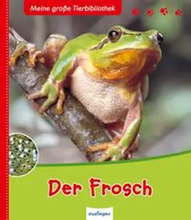 Starosta |  Der Frosch | Buch |  Sack Fachmedien