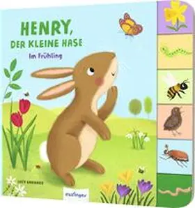 Kiel |  Mein erstes Jahreszeitenbuch: Henry, der kleine Hase | Buch |  Sack Fachmedien