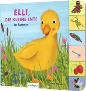 Kiel |  Mein erstes Jahreszeitenbuch: Elli, die kleine Ente | Buch |  Sack Fachmedien