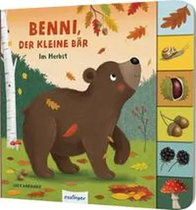 Kiel |  Mein erstes Jahreszeitenbuch: Benni, der kleine Bär | Buch |  Sack Fachmedien