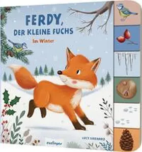 Kiel |  Mein erstes Jahreszeitenbuch: Ferdy, der kleine Fuchs | Buch |  Sack Fachmedien