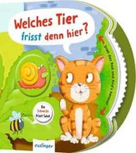 Kiel |  Dreh das Rad und find´s heraus!: Welches Tier frisst denn hier? | Buch |  Sack Fachmedien