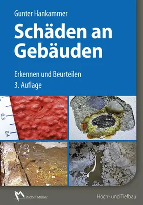 Hankammer |  Schäden an Gebäuden - E-Book (PDF) | eBook | Sack Fachmedien