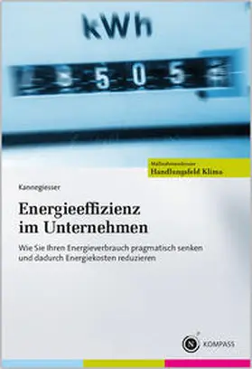 Kannegiesser |  Energieeffizienz im Unternehmen | Buch |  Sack Fachmedien