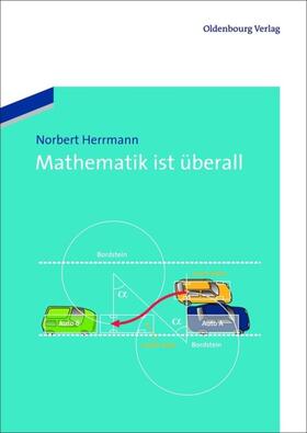 Herrmann |  Mathematik ist überall | eBook | Sack Fachmedien