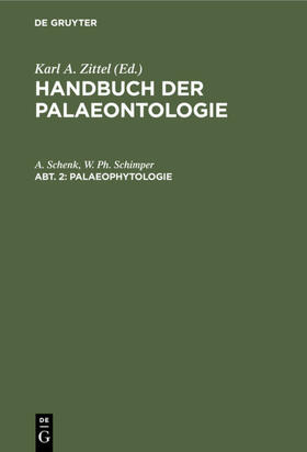 Schenk / Schimper |  Palaeophytologie | eBook | Sack Fachmedien