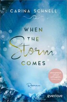 Schnell |  When the Storm Comes | Buch |  Sack Fachmedien