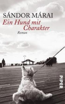 Márai |  Ein Hund mit Charakter | Buch |  Sack Fachmedien