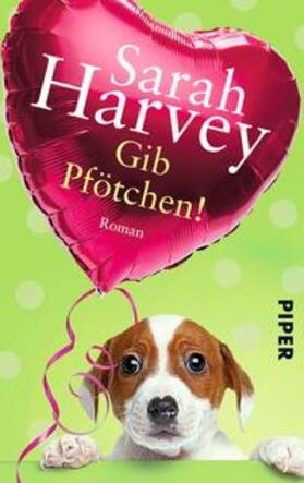 Harvey |  Gib Pfötchen! | Buch |  Sack Fachmedien