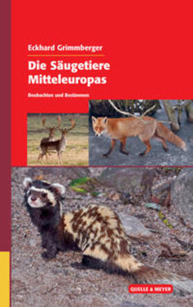 Grimmberger |  Die Säugetiere Mitteleuropas | Buch |  Sack Fachmedien