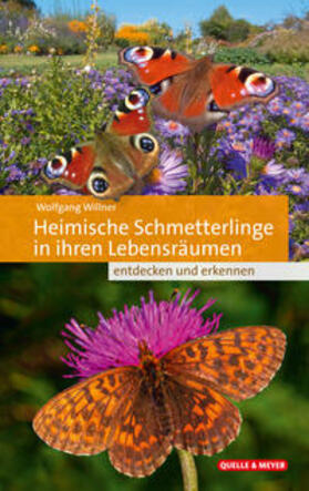 Willner |  Heimische Schmetterlinge in ihren Lebensräumen | Buch |  Sack Fachmedien
