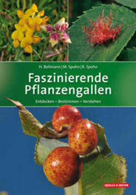 Bellmann / Spohn |  Faszinierende Pflanzengallen | Buch |  Sack Fachmedien