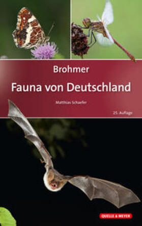 Schaefer |  Brohmer - Fauna von Deutschland | Buch |  Sack Fachmedien