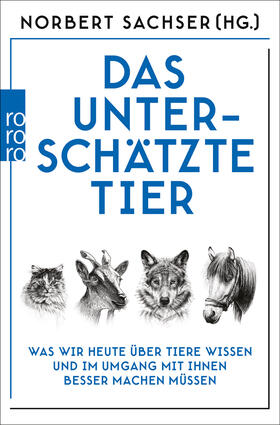 Sachser / Kästner / Zimmermann |  Das unterschätzte Tier | Buch |  Sack Fachmedien