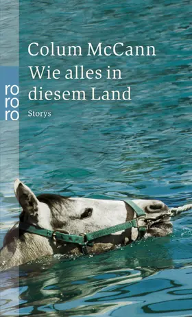 McCann |  Wie alles in diesem Land | Buch |  Sack Fachmedien