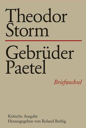Berbig |  Theodor Storm - Gebrüder Paetel | Buch |  Sack Fachmedien