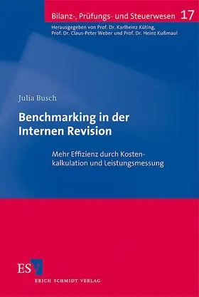 Busch |  Benchmarking in der Internen Revision | Buch |  Sack Fachmedien