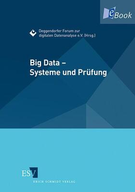 Deggendorfer Forum zur digitalen Datenanalyse e. V. |  Big Data – Systeme und Prüfung | eBook | Sack Fachmedien
