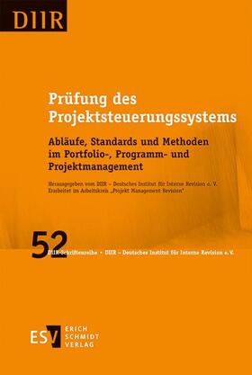  Prüfung des Projektsteuerungssystems | Buch |  Sack Fachmedien