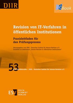 DIIR – Deutsches Institut für Interne Revision e. V. |  Revision von IT-Verfahren in öffentlichen Institutionen | eBook | Sack Fachmedien