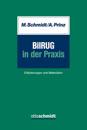 Schmidt / Prinz |  BilRUG in der Praxis | Buch |  Sack Fachmedien