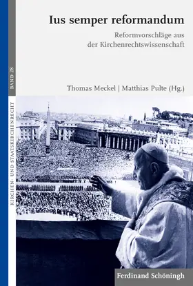 Pulte / Meckel |  Ius semper reformandum | Buch |  Sack Fachmedien