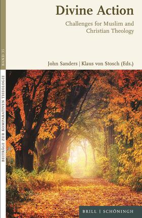 Sanders / Stosch | Divine Action | Buch | 978-3-506-79127-6 | sack.de