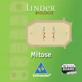  LINDER Biologie SII / Mitose | Sonstiges |  Sack Fachmedien