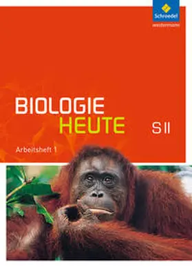 Braun / Paul / Westendorf-Bröring |  Biologie heute 1. Arbeitsheft. Sekundarstufe 2. Allgemeine Ausgabe | Buch |  Sack Fachmedien