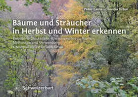 Leins / Erbar |  Bäume und Sträucher in Herbst und Winter erkennen | Buch |  Sack Fachmedien