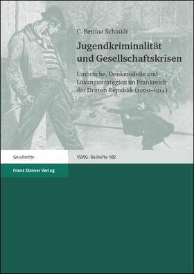 Schmidt |  Schmidt, C: Jugendkriminalität und Gesellschaftskrisen | Buch |  Sack Fachmedien
