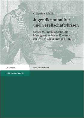 Schmidt |  Jugendkriminalität und Gesellschaftskrisen | Buch |  Sack Fachmedien