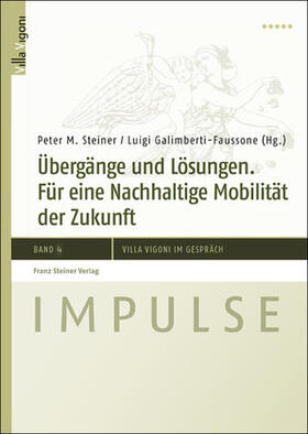 Steiner / Galimberti-Faussone |  Übergänge und Lösungen | Buch |  Sack Fachmedien