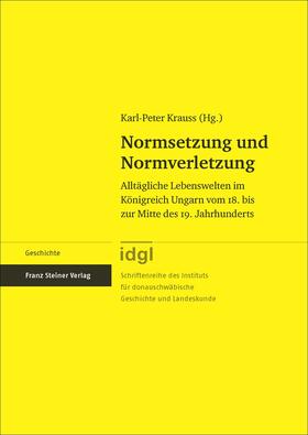 Krauss |  Normsetzung und Normverletzung | Buch |  Sack Fachmedien