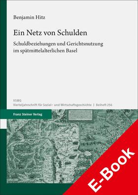 Hitz |  Ein Netz von Schulden | eBook | Sack Fachmedien