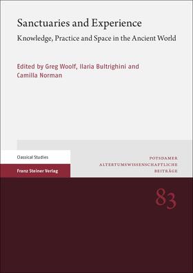 Woolf / Bultrighini / Norman |  Sanctuaries and Experience | Buch |  Sack Fachmedien