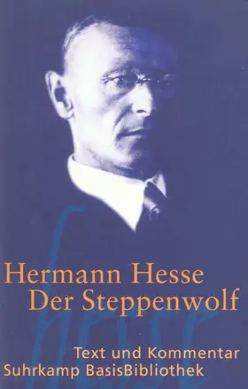 Hesse |  Der Steppenwolf | Buch |  Sack Fachmedien