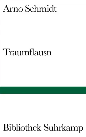 Schmidt / Rauschenbach |  Traumflausn | Buch |  Sack Fachmedien