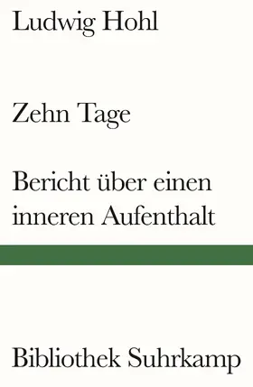 Hohl / Mosca-Rau | Zehn Tage / Bericht über einen inneren Aufenthalt | Buch | 978-3-518-24382-4 | sack.de